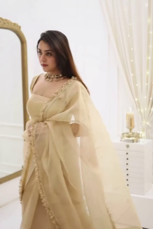 ✨ Classic Fawn Stone Embellished Saree – A Perfect Blend of Grace and Glamour ✨